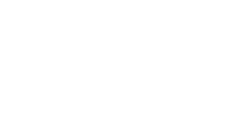 Falcon Travel Tours