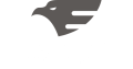 Falcon Travel Tours