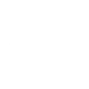 Falcon Travel Tours logomark