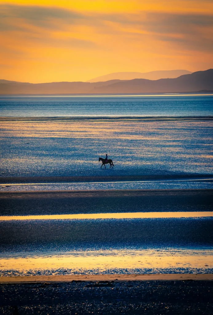 A rider on horseback crossing a wide beach at golden sunset