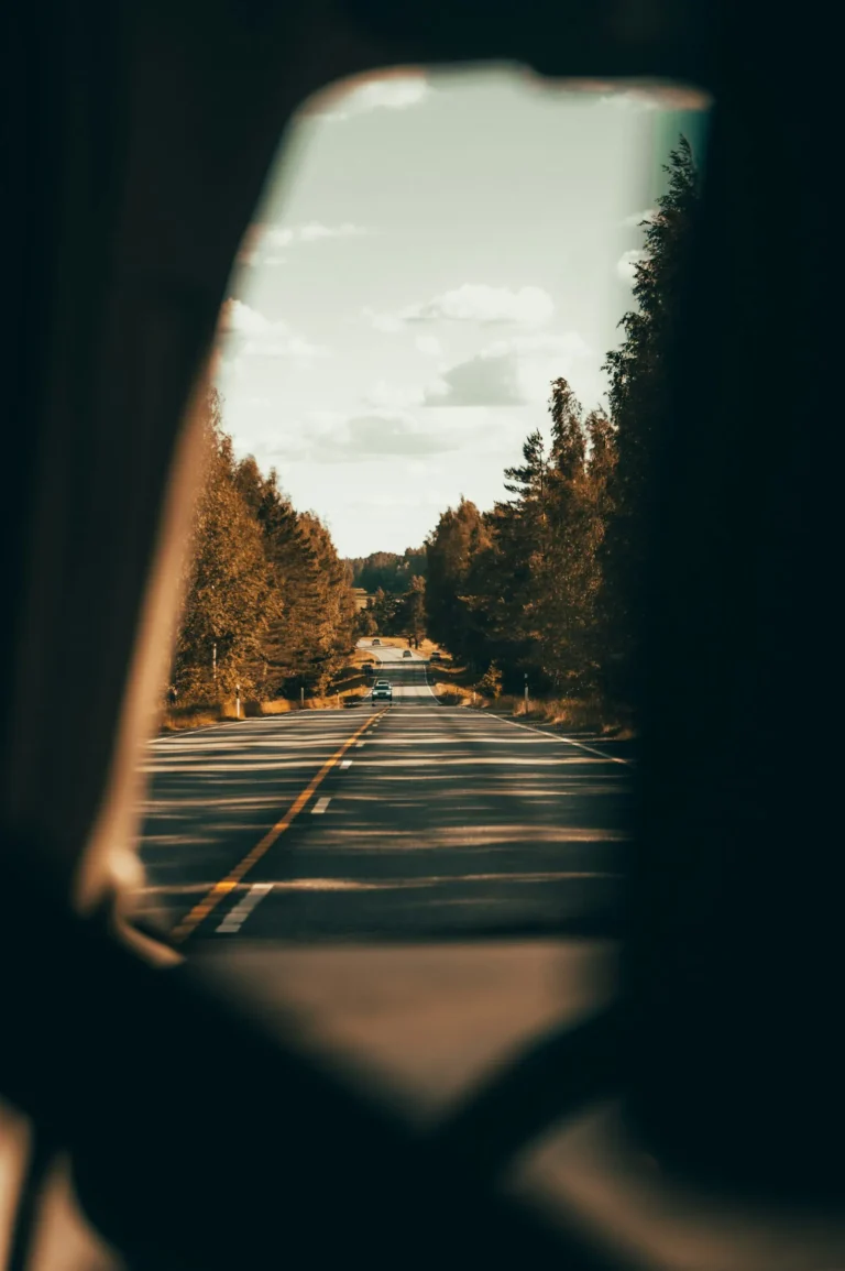 Tree-lined road seen through a car window in warm light