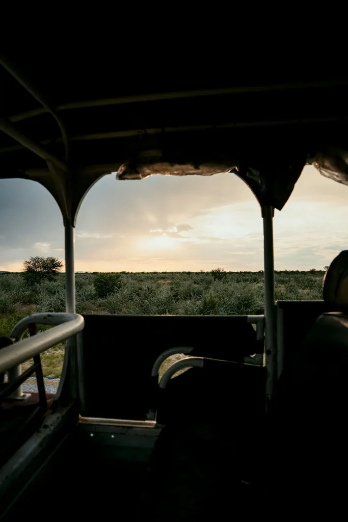 View from inside an open safari vehicle over the savanna at dusk