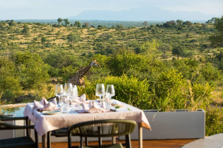 Dining table with a giraffe in view