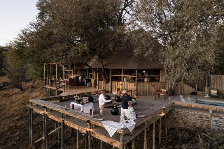 Raised camp deck under the trees