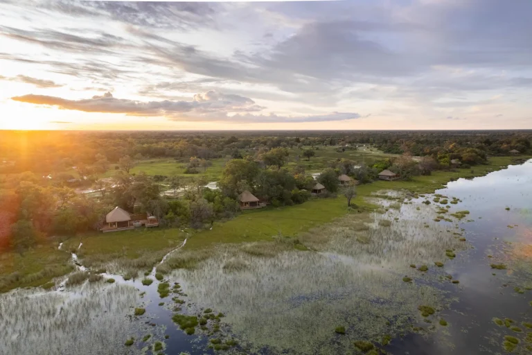 Aerial view of the Okavango Delta floodplains