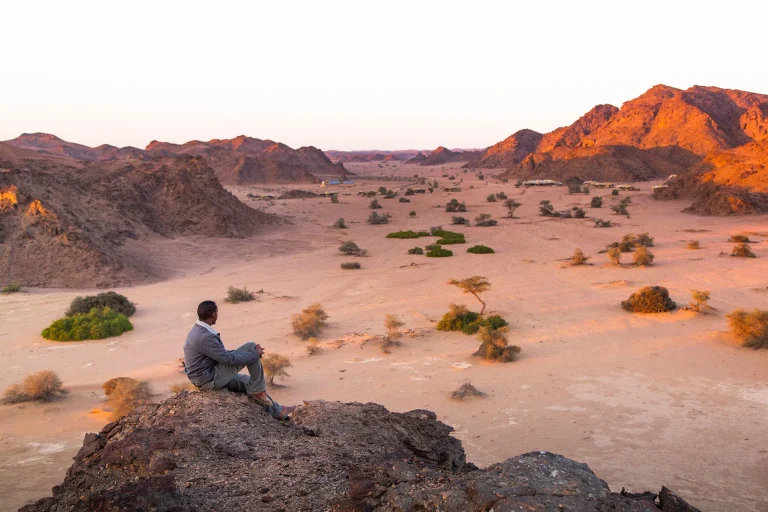 Guest overlooking a desert valley