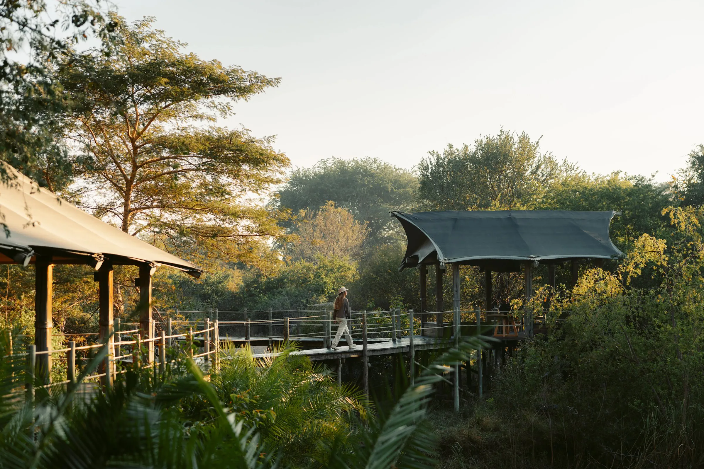 Raised walkways and tents among the trees beside the Zambezi