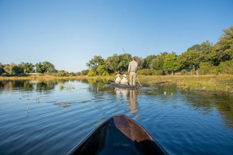 Mokoro on a still Okavango channel