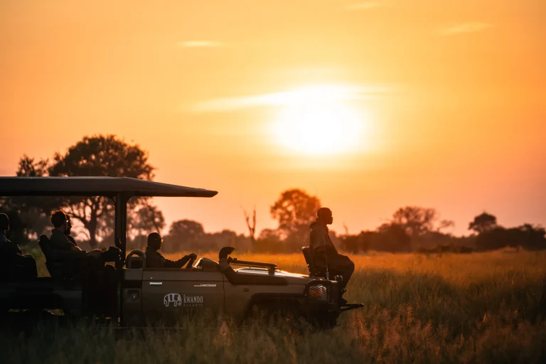 Game drive vehicle silhouetted at sunset