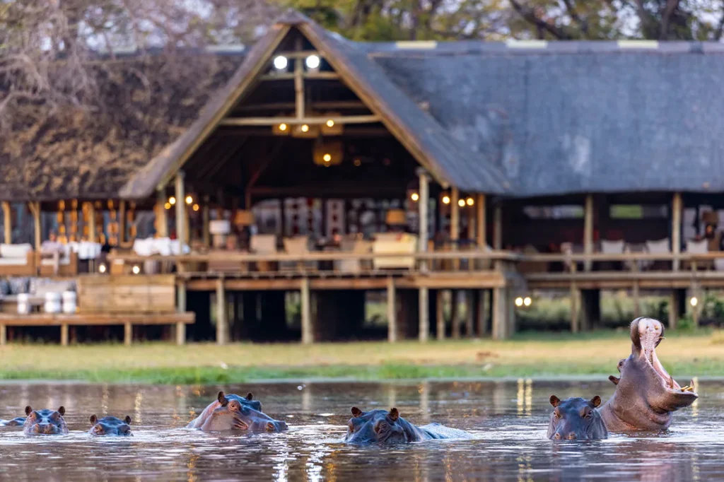 Sable Alley main area overlooking a hippo-filled lagoon