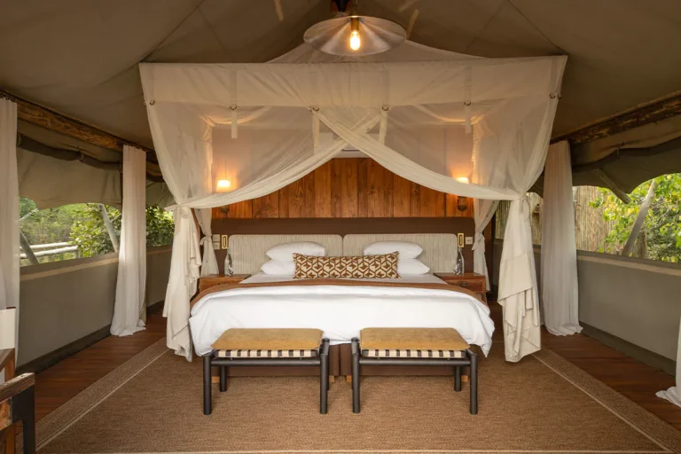Canopy bed inside a tent at Sable Alley