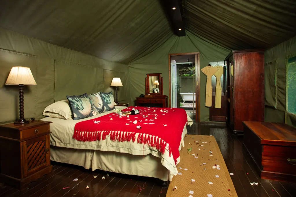 Inside a luxury tent at Falaza