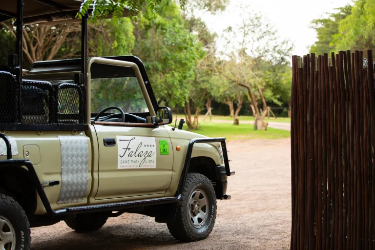 Falaza game drive vehicle