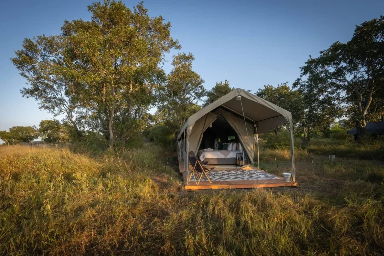 Safari tent in the long grass at Satara Plains Camp