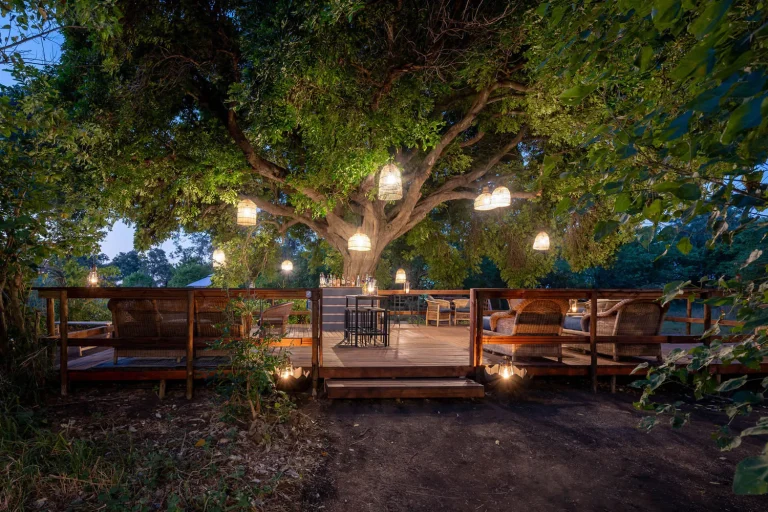 Lantern-lit deck under a tree at Satara Plains Camp