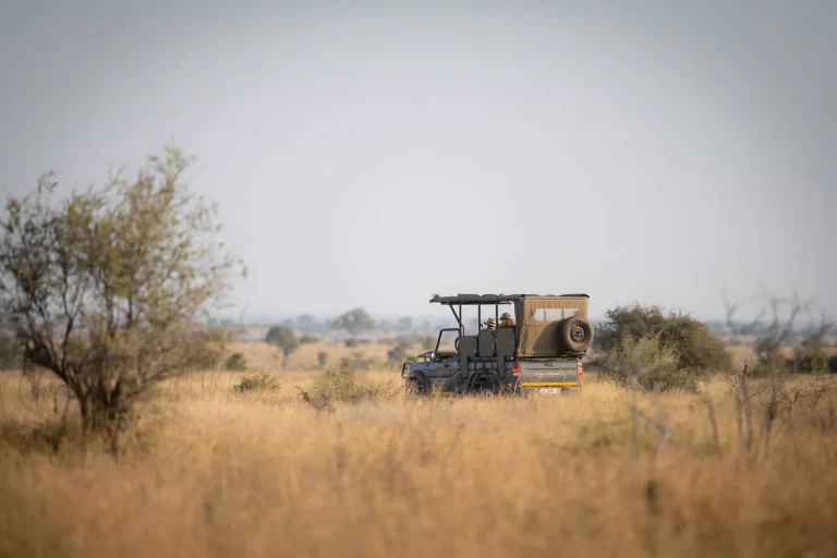 Open safari vehicle on the Satara plains