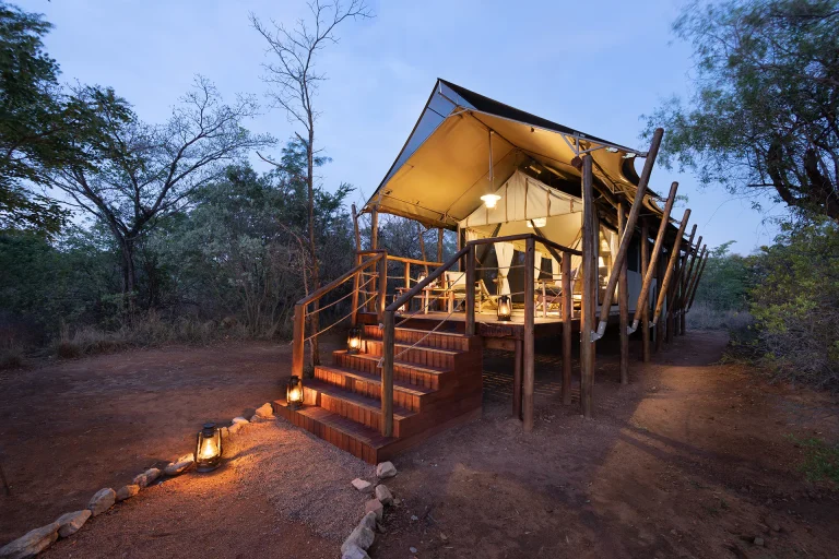 Raised safari tent lit at dusk at Kwafubesi