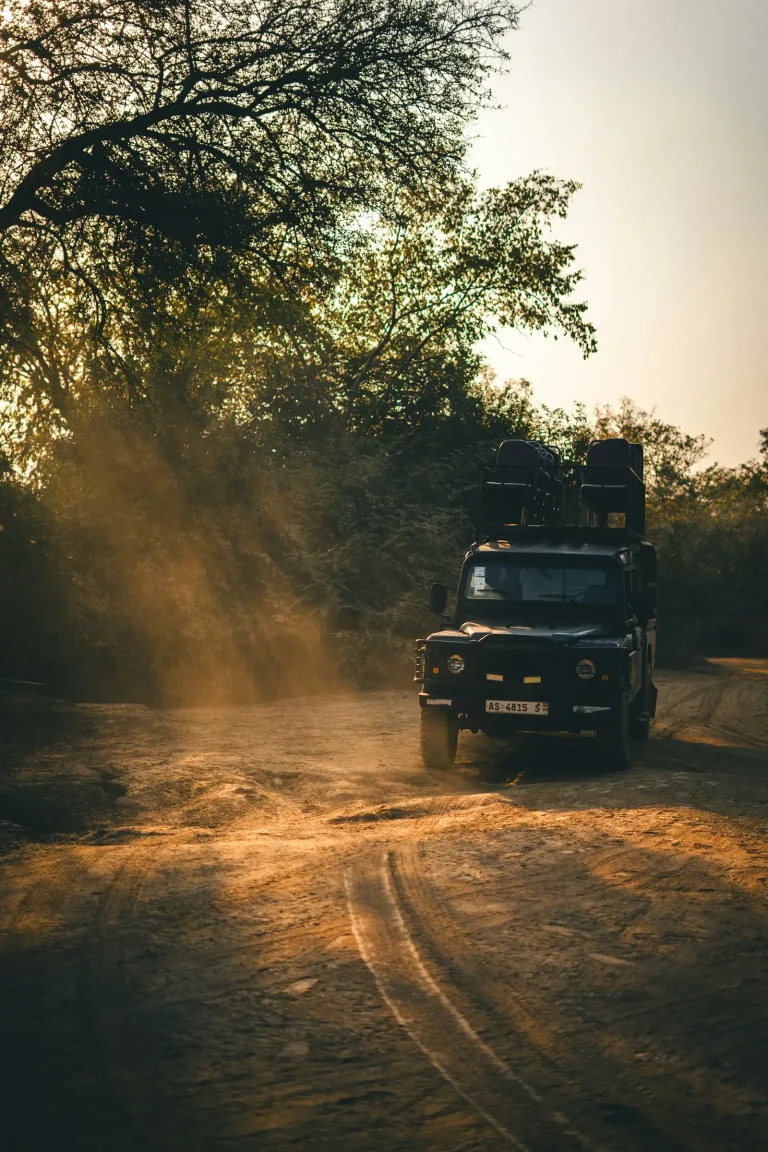 Rugged 4x4 driving along a dusty track in golden light