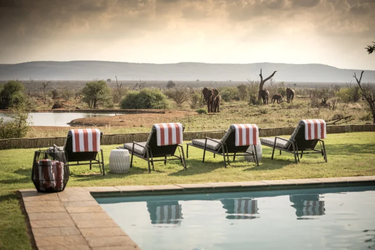 Pool and loungers with elephants at the waterhole, Madikwe Safari Lodge