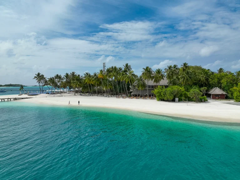 White beach and palm trees on a Maldives island