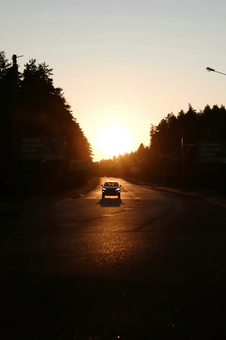 Car driving along a tree-lined road towards the setting sun