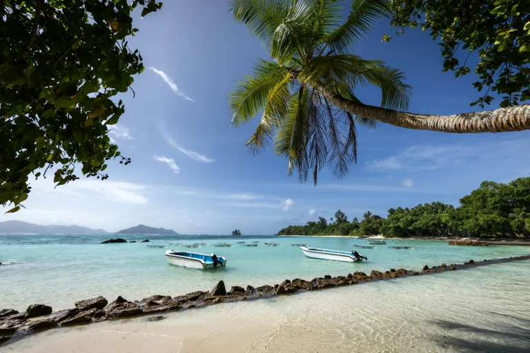 Boats moored off a palm-lined beach on La Digue