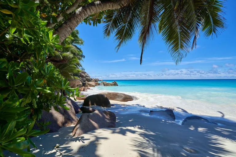 Shaded beach and granite boulders on Praslin, Seychelles
