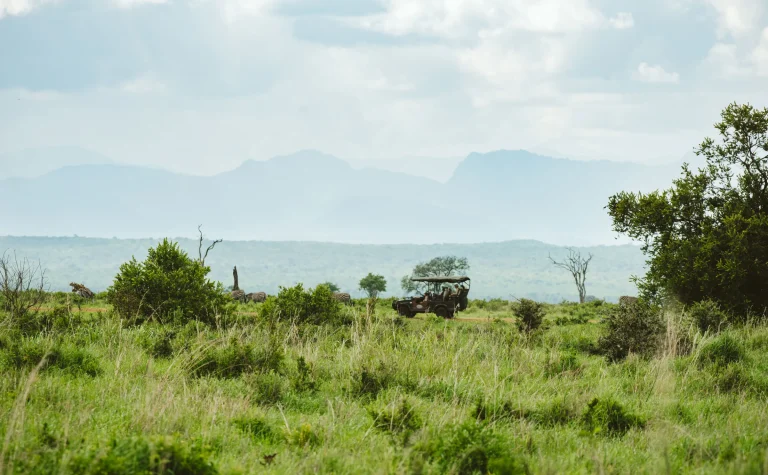 Game drive vehicle on the green plains of Mikumi National Park below the mountains