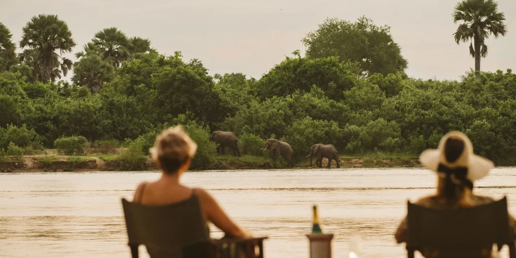 Guests watching elephants cross the Rufiji River