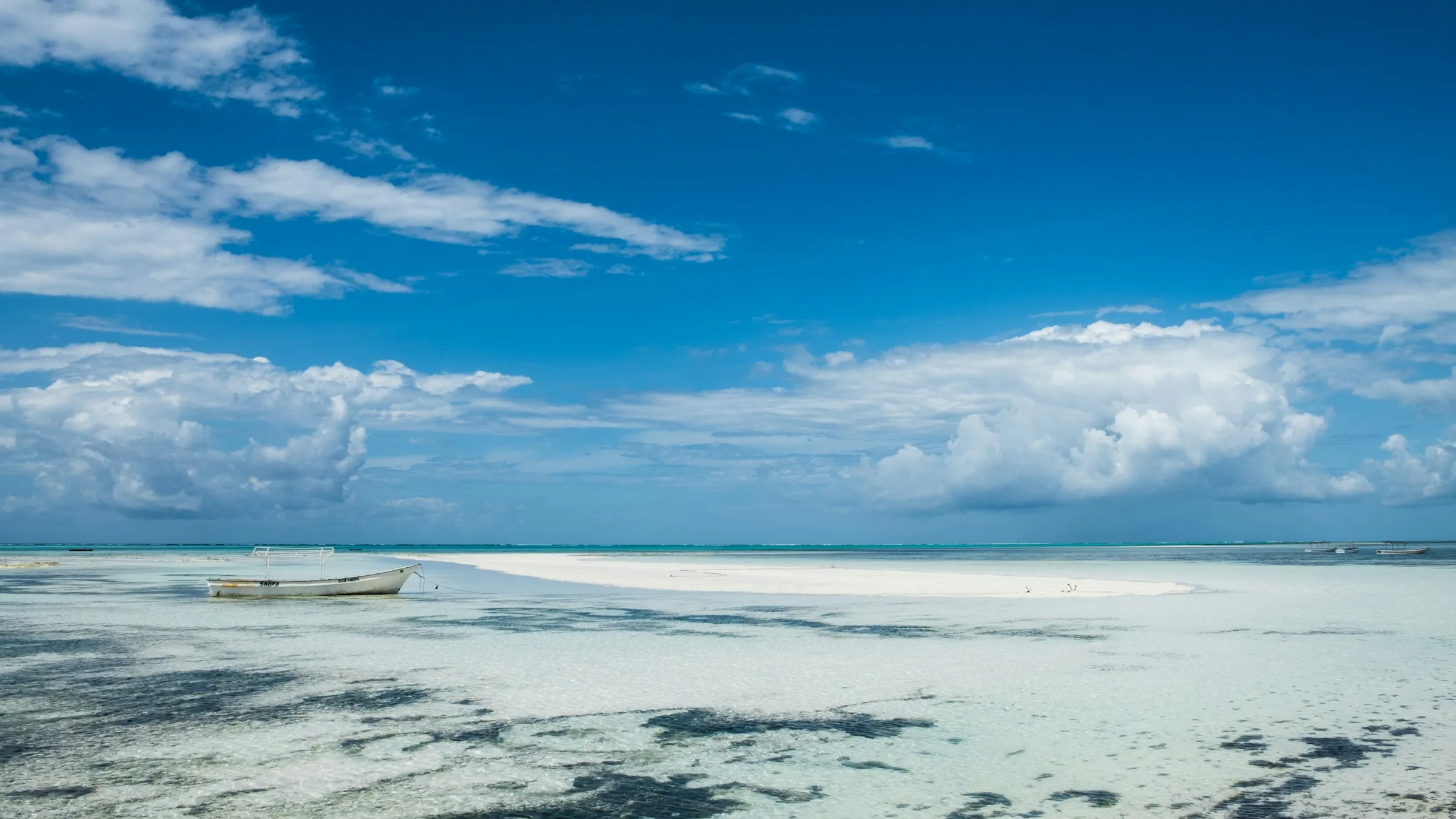 White sand and shallow water on Zanzibar's coast